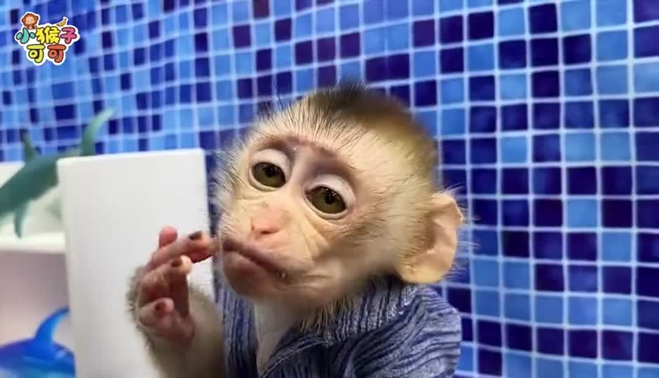 可可的西瓜冰激凌