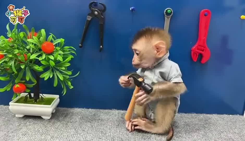 可可制作汉堡