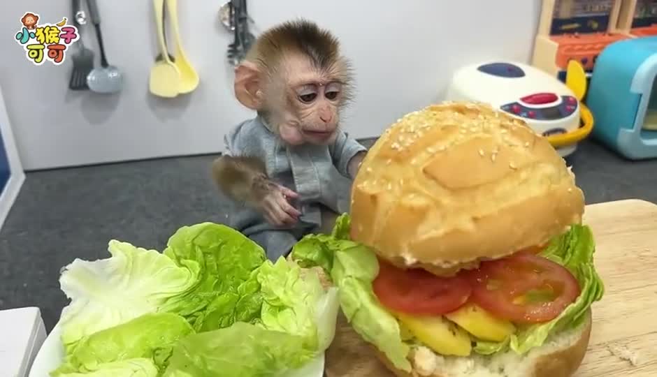 可可剥鸡蛋