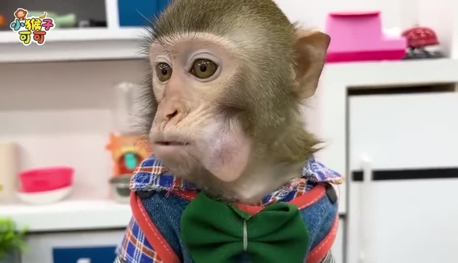 可可煮方便面