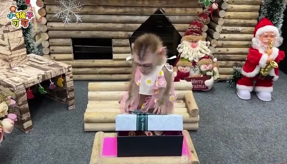 可可的神秘礼物