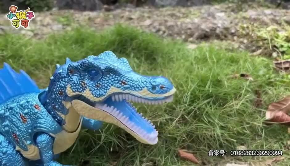 可可设置路障