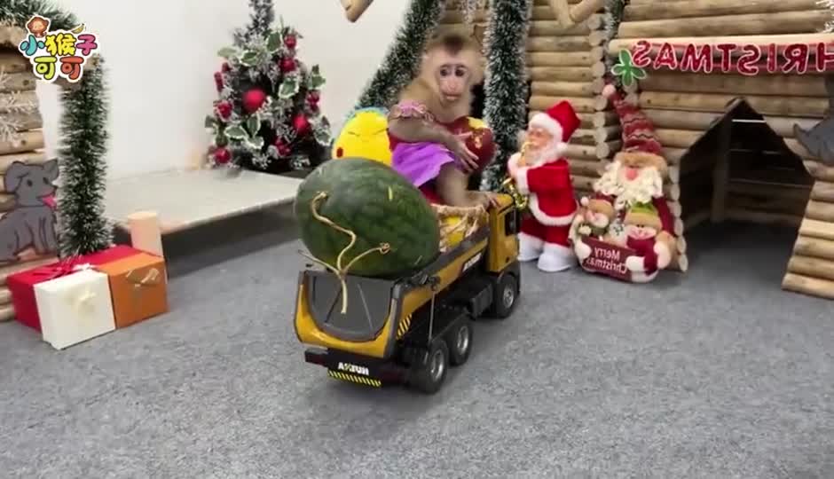 可可钓上了汽车