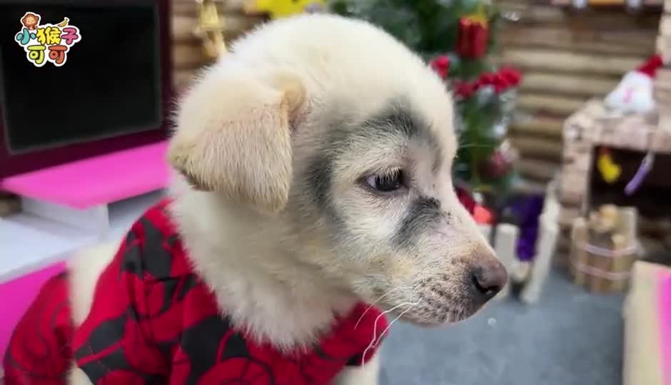 可可和朋友吵架