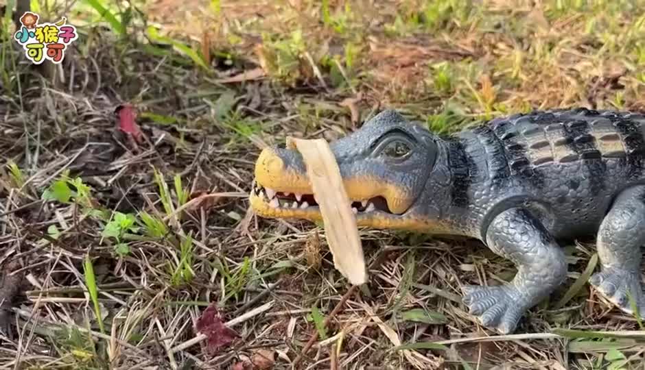 气急败坏的鳄鱼