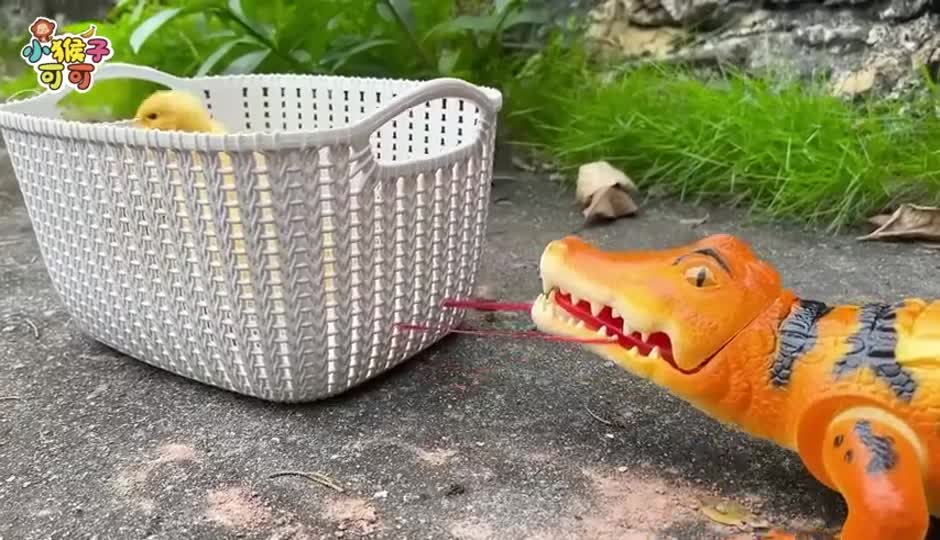 可可和朋友