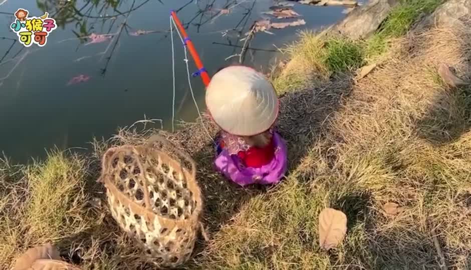 可可去玩耍