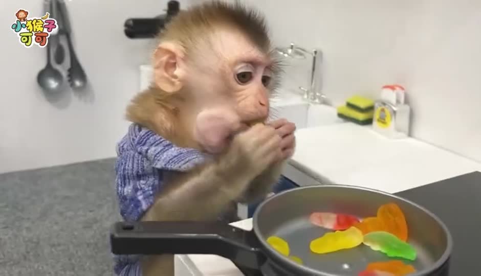可可制作水果糖