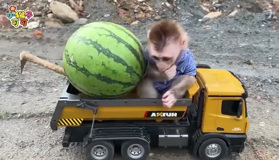 成山的巧克力