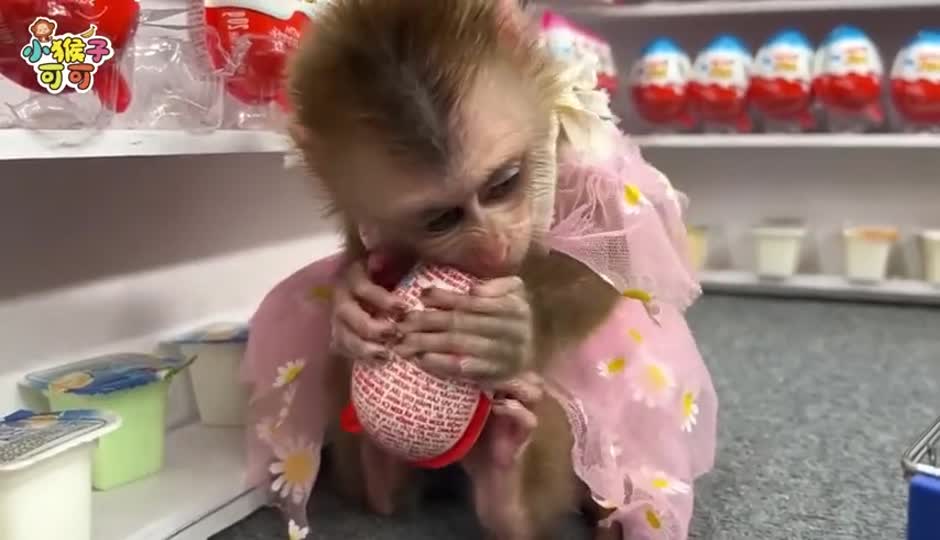 可可去购物