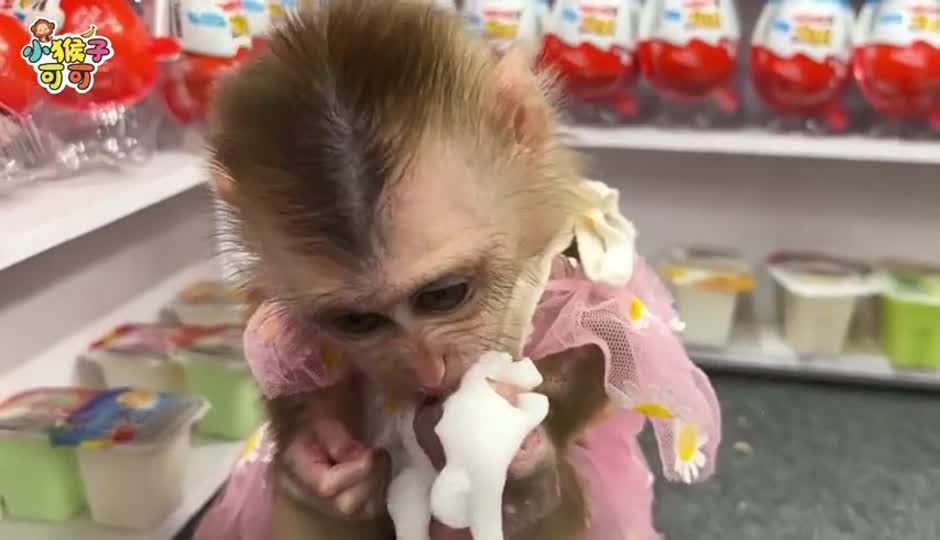 可可使用洗衣机