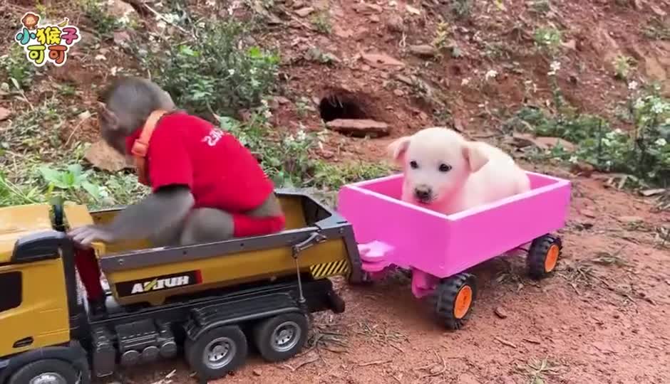 气球陷阱