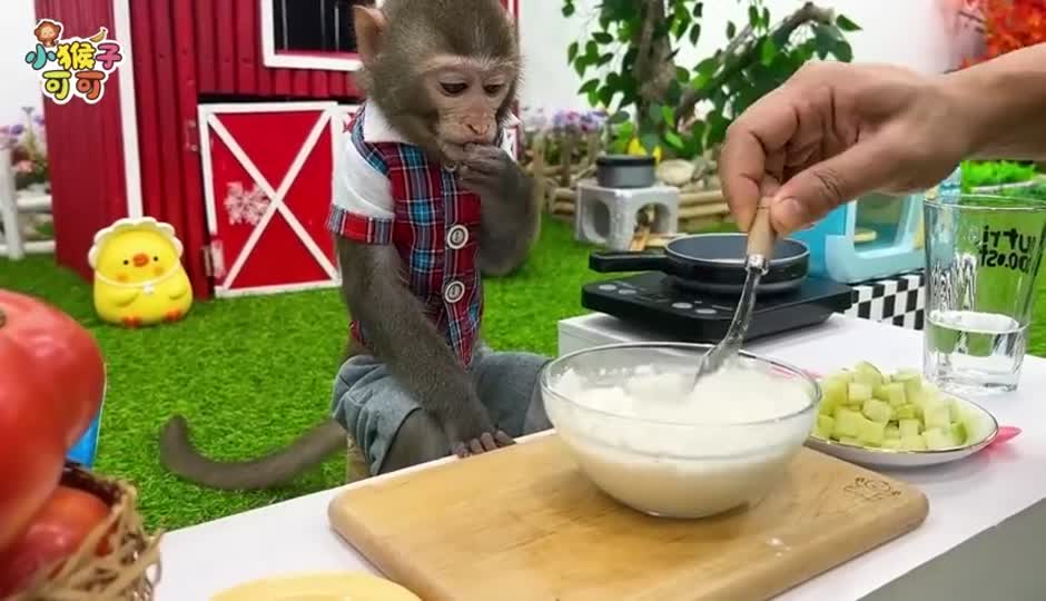 可可制作面饼