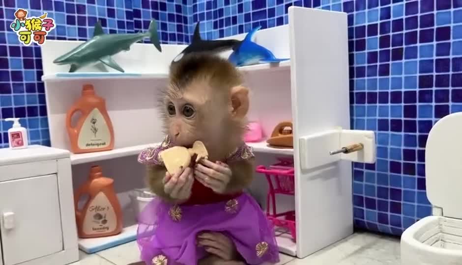 美味的葡萄