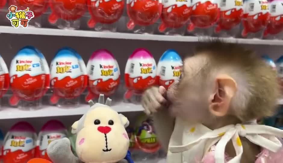 可可挑选玩具