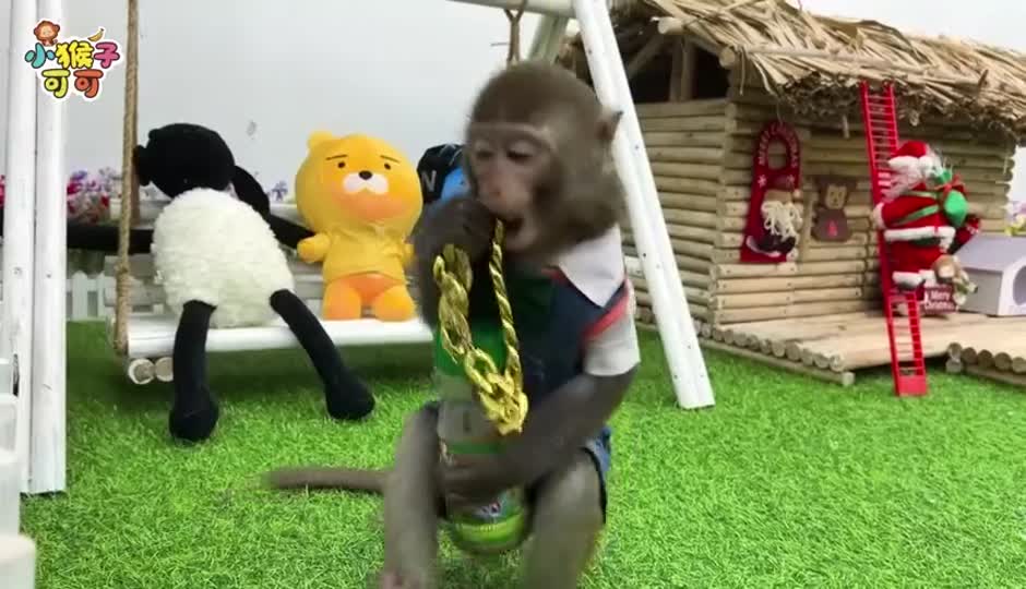 好朋友来做客