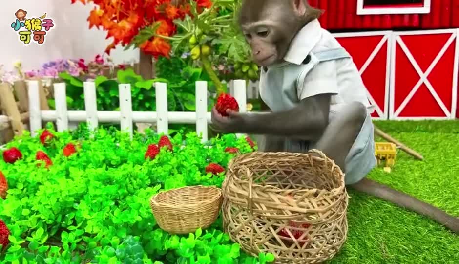 新鲜的草莓