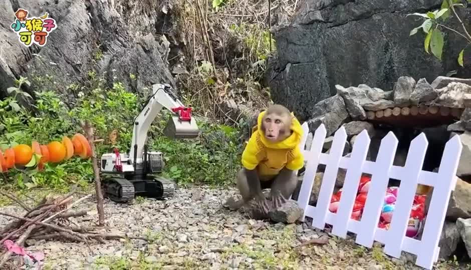 可可发现宝藏