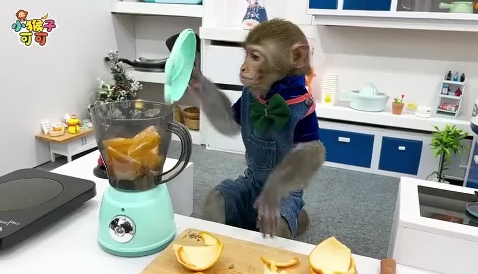可可制作橘子汁