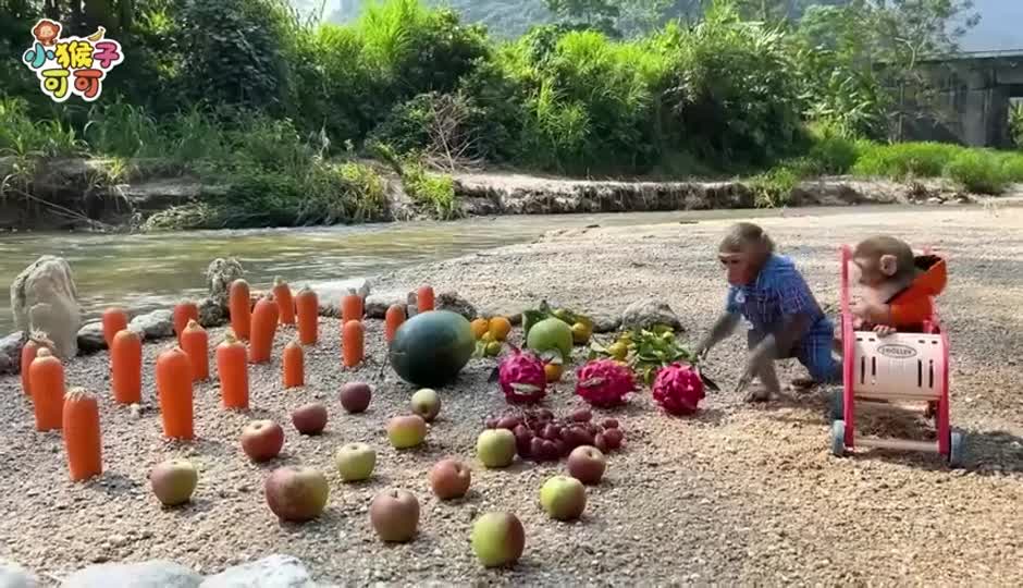 一起去玩耍